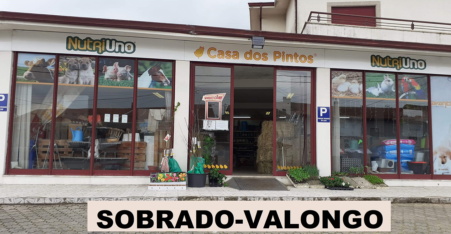 sobrado valongo